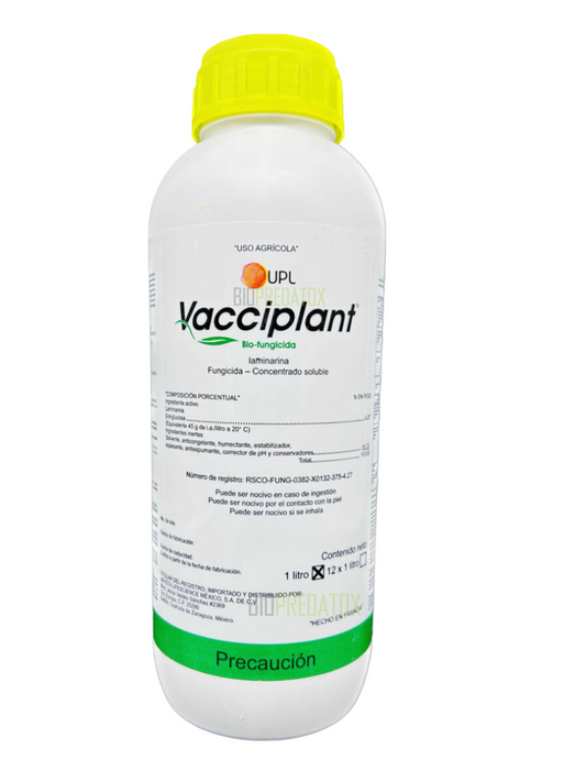 VACCIPLANT