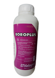 BOROPLUS