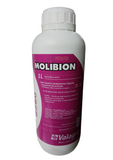 MOLIBION