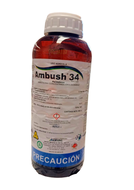 AMBUSH 34