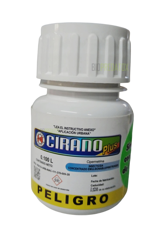 CIRANO PLUS