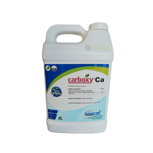 CARBOXY CA