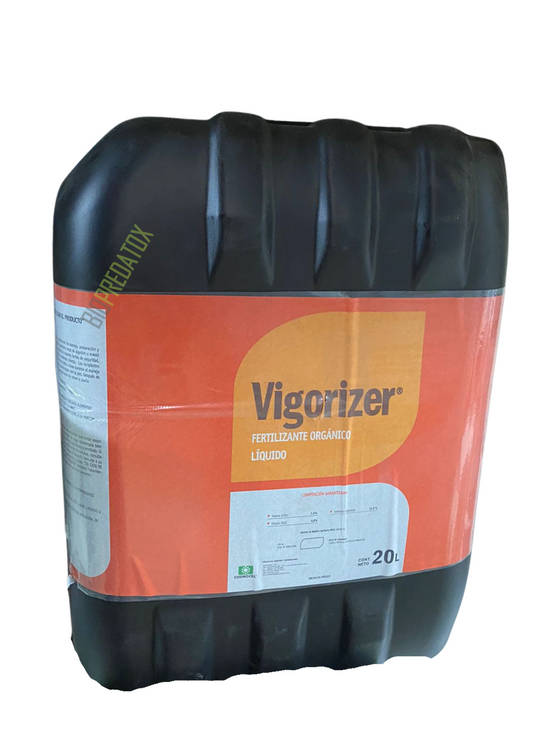 VIGORIZER